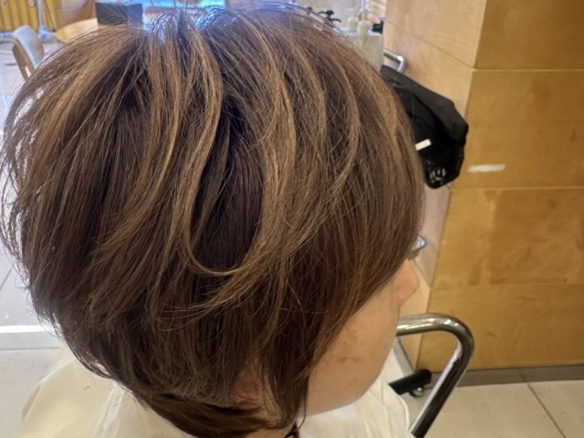 애쉬브라운 부분 하이라이트 진행